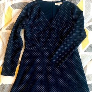 LOFT Navy Dress - 14